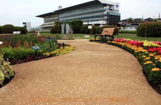 全て日本語の国産CMSだから、設置も更新も簡単、わかりやすい。